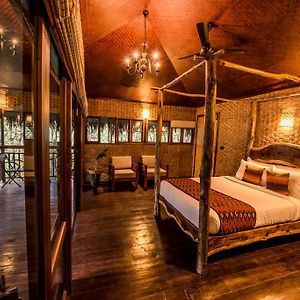 Hornbill Tree House